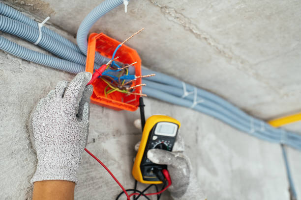 Best Licensed Electrician  in Las Flores, CA